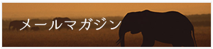 メールマガジン