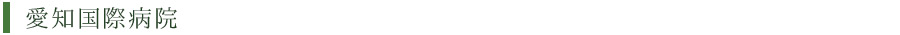 愛知国際病院